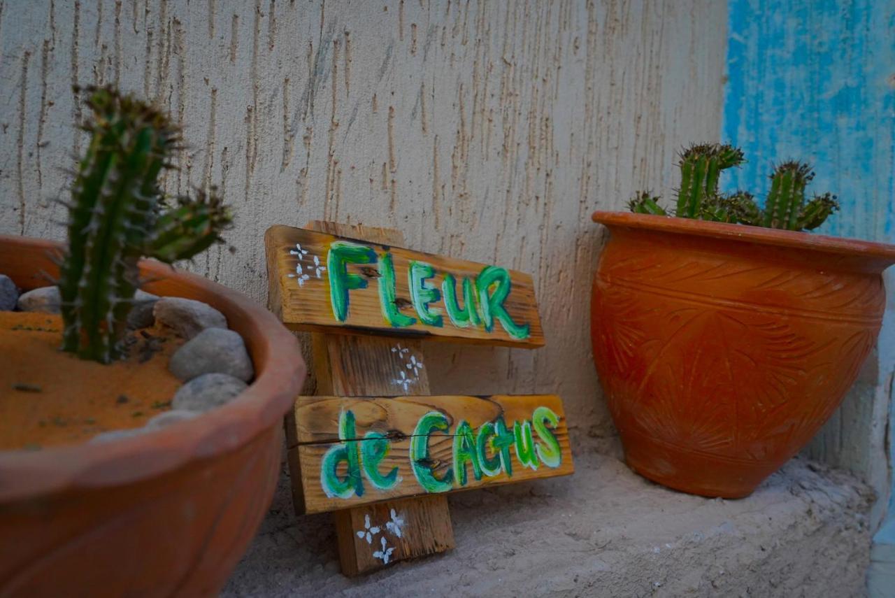 Fleur De Cactus, Guesthouse, Tamraght Kültér fotó